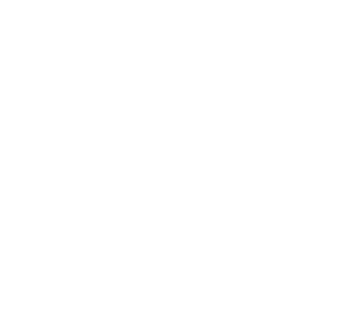 Z&L Konzept